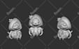 do 3d models sculpt