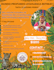 create event flyer, bifold, trifold brochure, banner and marketing material epk