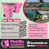 create a custom design for poster, brochure flyer design