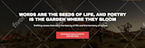 design wix and redesign wordpress website, shopify, squarespace landing page
