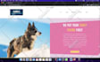 design or redesign responsive wix studio or wix website