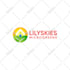 do business logo design, branding kit and brand identity design