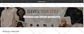 be your odoo developer for website erp ecommerce custom modules website design