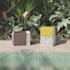 create realistic 3d furniture renderings with ai enhanced