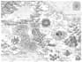 hand draw vintage maps for treasure hunts, books, prints