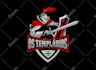 create a professional fantasy, rpg, medieval and rustic logo
