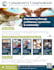 design professional one pager, flyer, or poster