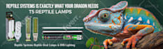 design a professional web banner,header,ads,cover