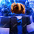 create a roblox gfx for groups or pfps