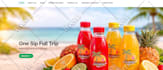 do company profile, bifold or trifold brochure, pamphlet or flyer
