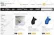 create shopify store, design custom shopify website and fix bugs