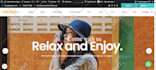 do wordpress changes or wordpress fixes, edits wordpress
