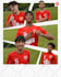 design a special match day for you