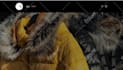 do shopify development and customization