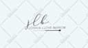 professional brand guide  branding kit