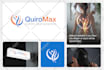 design a professional logo, brand book, and corporate brand identity guidelines
