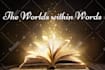 developmental edit your novel in any genre
