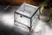 photoshop editing, realistic photo manipulation, and creative design composition