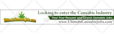 design professional banner ads