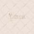 do hand drawn botanical boho logo with full branding