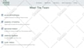 create a stunning responsive wordpress website or blog