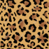 design seamless printing pattern
