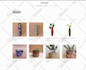 build, design, redesign wordpress website, blog or ecommece website development