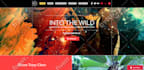 design professional responsive wordpress website for you