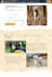 use generatepress or kadence to build wordpress website