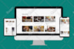 do wordpress website development, design redesign business website or blog