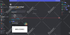 make your discord setup, within 24 hours custom server
