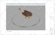 do 2d, 3d architectural model in autocad, revit and sketchup
