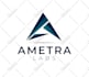 design a professional business logo and branding