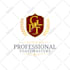 do professional, creative and HQ business brand logo design