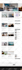 do professional responsive wordpress website design or blog site