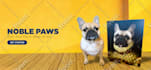 design high quality web banner, social media cover, google ads, header