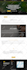 connect or transfer domain to shopify, wix, wordpress, squarespace