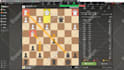 give you personalized online chess lessons for beginners and intermediate
