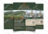 do professional flyer design