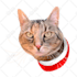 draw your pet into a vector in 24 hours