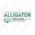 design a premium lettering business logo