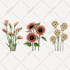create a digital watercolor botanical illustration of flowers, plants, fruits