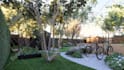 do landscape design, garden design, backyard, swimming pool, and render images