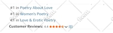 promote and advertise free kindle ebook or book at website