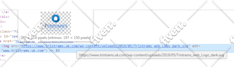 do wordpress customization and demo upload
