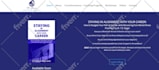 design wordpress website responsive and SEO friendly