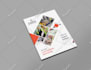 design a professional brochure or flyer