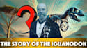 do documentary style video like magnet media for youtube