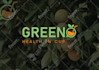 do 3 minimalist logo design with custom concepts in 24h delivery