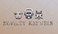 design a professional custom logo with unlimited revisions and source fills